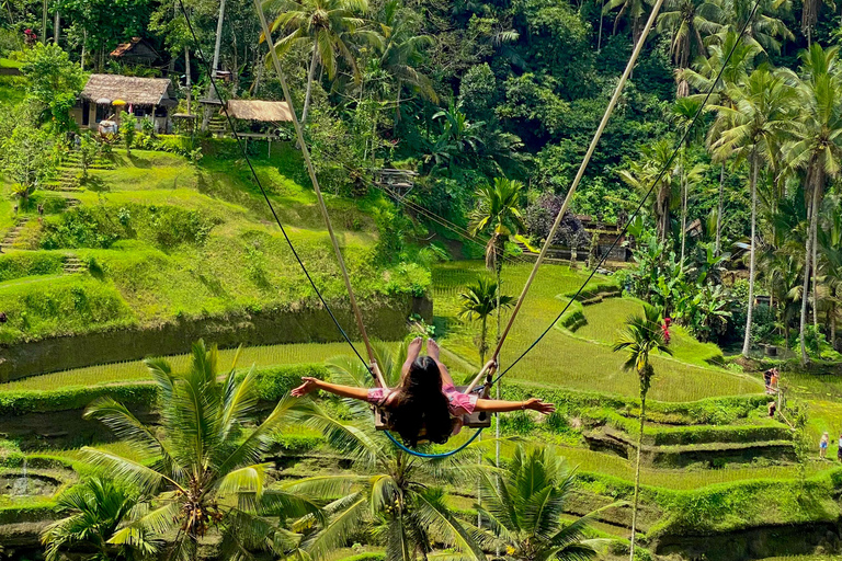 Ubud rice terrace, waterfall, and temple guided trip Bali