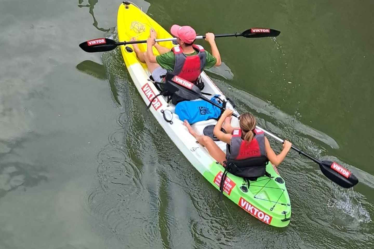 Skadar Lake kayak tour: A Journey Through Tranquility