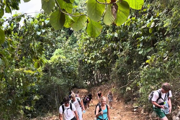 Luang Prabang to Nong Khiaw 2 Day 1 night Camping & Trekking Pick-up in Luang Prabang and drop-off in Nong Khiaw