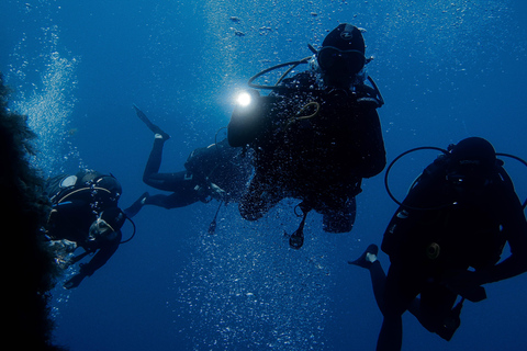 Corfu: Scuba Diving and Snorkeling from a Boat Let's go scuba diving!
