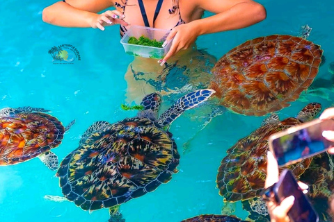 Zanzibar: Jozani Forest & Salaam Cave Sea Turtles Tour Private Self Transfer Experience