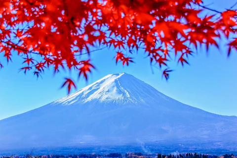 From Tokyo: Mt. Fuji One-Day Private and Customizable Tour