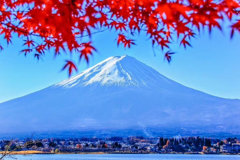From Tokyo: Mt. Fuji One-Day Private and Customizable Tour