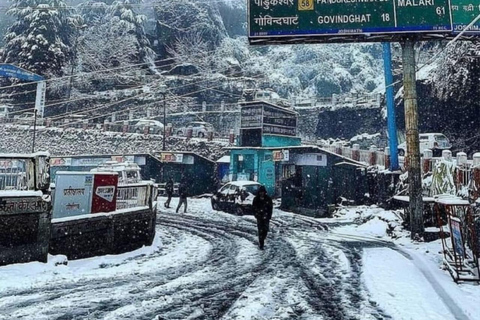 Jim Corbett National Park: Safari, Nature Walks, & More