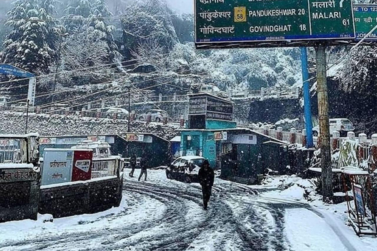 Jim Corbett National Park: Safari, Nature Walks, & More