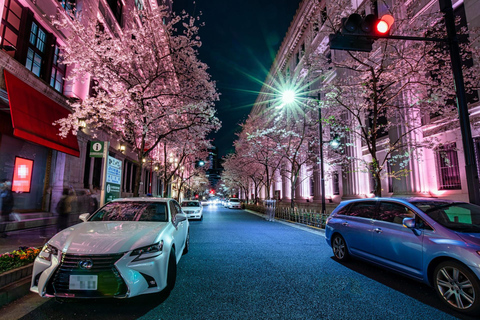 Tokyo: Art Aquarium & "Yozakura" Night Walk Experience