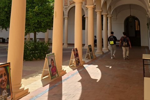 Córdoba: Ticket de entrada para la Ruta de las Iglesias Fernandinas.