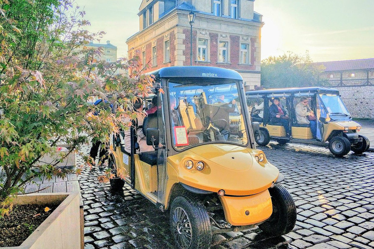 Cracovia: casco antiguo, Wawel y mina de sal de Wieliczka con almuerzo