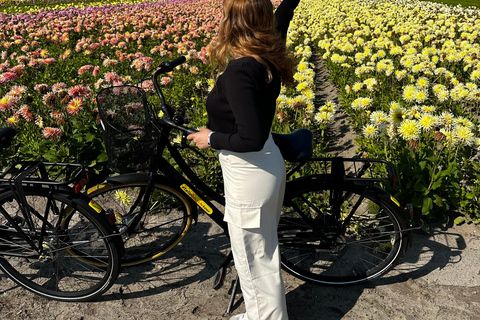 Région des bulbes : Tour cycliste des dahlias