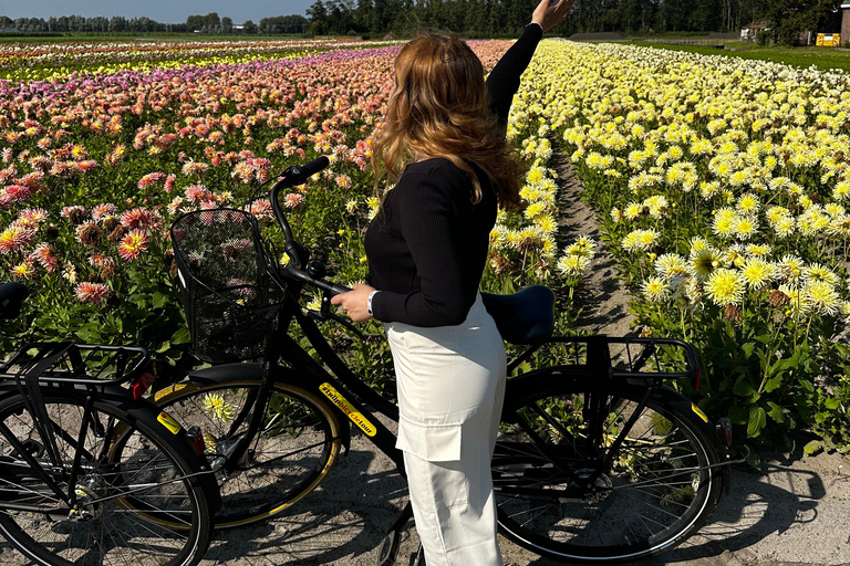 Región de los bulbos: Excursión en bicicleta por las dalias