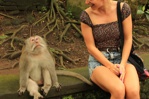 Ubud: Monkey Forest, Rice Terrace ticket included