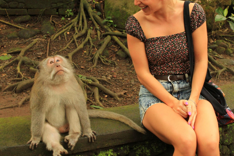 Ubud: Monkey Forest, Rice Terrace ticket included