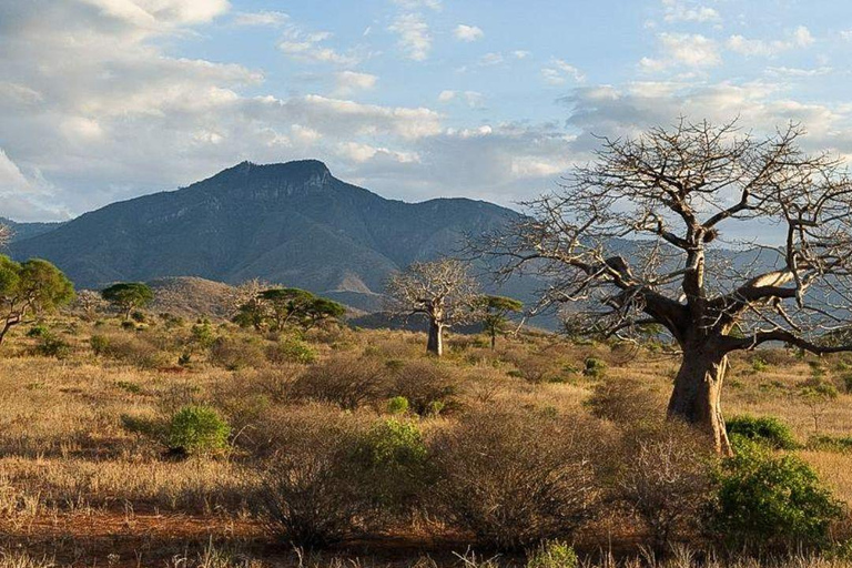 رحلة سفاري لمدة يومين لمشاهدة عجائب الطبيعة الأفريقية