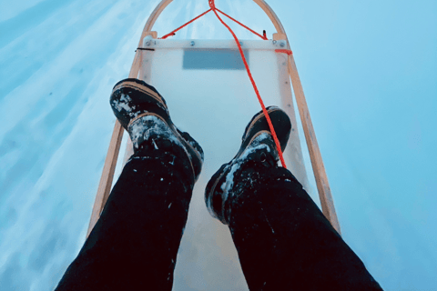 Saariselkä: Husky Safari with kennel visit