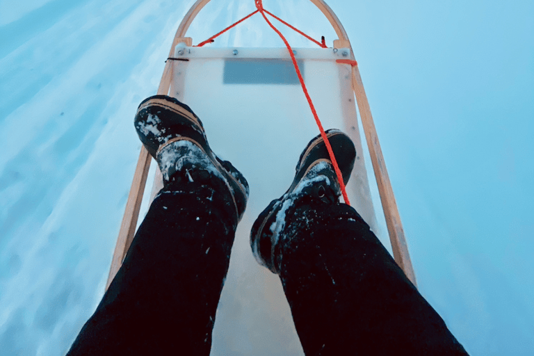 Saariselkä: Husky Safari with kennel visit