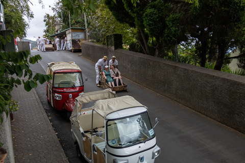 Funchal: Guided Tuk Tuk Tour to Toboggan Rides