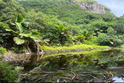 Mare Aux Cochon (Private Hiking Activity) - All Inclusive