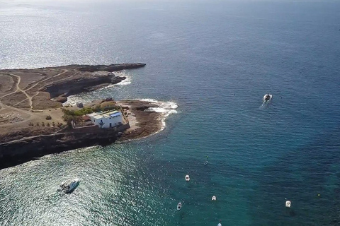 Costa Adeje Exclusive Cat 3 hrs. Trip Whales and Dolphins