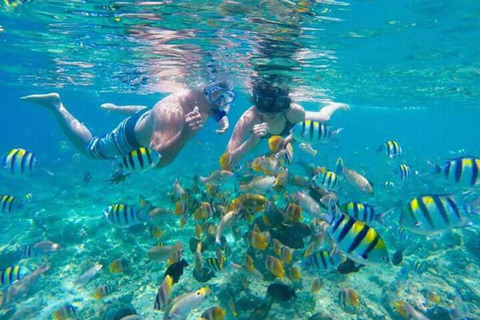 Lombok: Gili Islands Snorkeling Tour with Malimbu Hill