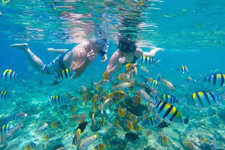 Lombok: Gili Islands Snorkeling Tour with Malimbu Hill