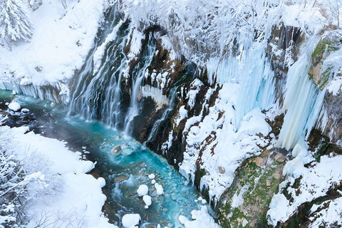 Sapporo: Asahiyama Zoo, Shirahige Falls /w Lunch & Ticket 7:40 Meet at Tokyu REI Hotel