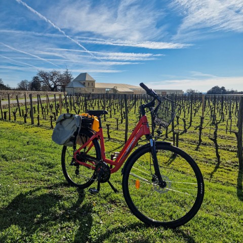 Visit Saint Emilion Half Day Ebike and Wine Tour with Picnic in Le Jura