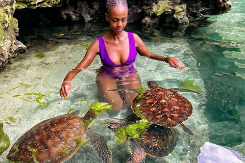 ZANZIBAR: Sea Turtle Swimming & Feeding Experience in NUNGWI