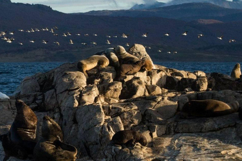 Ushuaia: Navigation through Beagle Channel & Bridges Islands