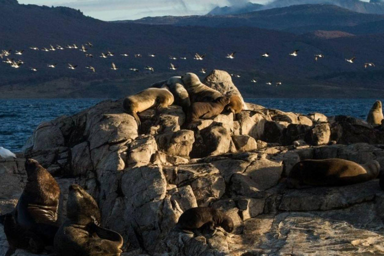 Ushuaia: Navigation through Beagle Channel & Bridges Islands