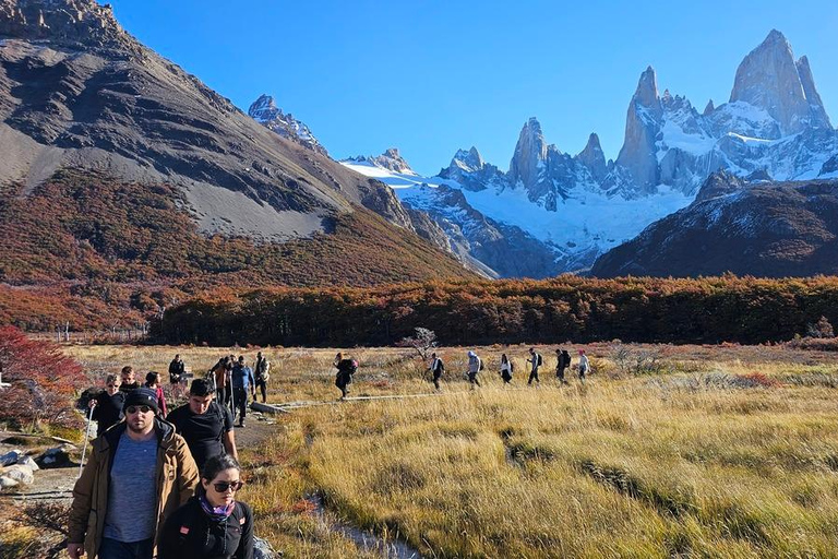 From El Chaltén/Calafate: Laguna de los Tres Guided Trek From El Chaltén: Laguna de los Tres Trek W/ Local Guide