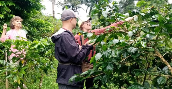 La Fortuna: Make Coffee & Chocolate on a Local Farm Tour