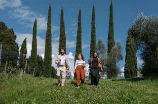 Siena: Bio-Weinkeller Tour und Weinverkostung