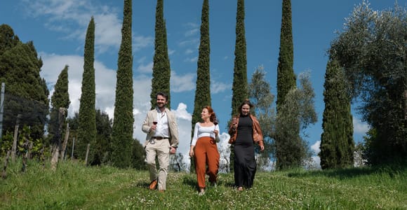 Siena: Organic Winery Tour and Wine Tasting