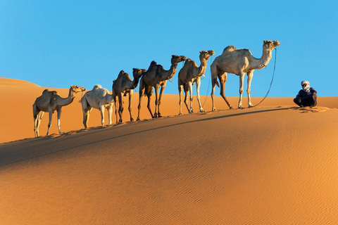 From Marrakech: 3-Days Merzouga Sahara Desert & Luxury Camp Merzouga Sahara Desert Tour with Private Luxury Tent