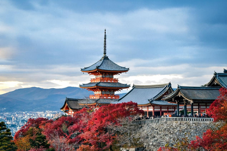 Kyoto: Private Customizable Tour with Driver and Guide