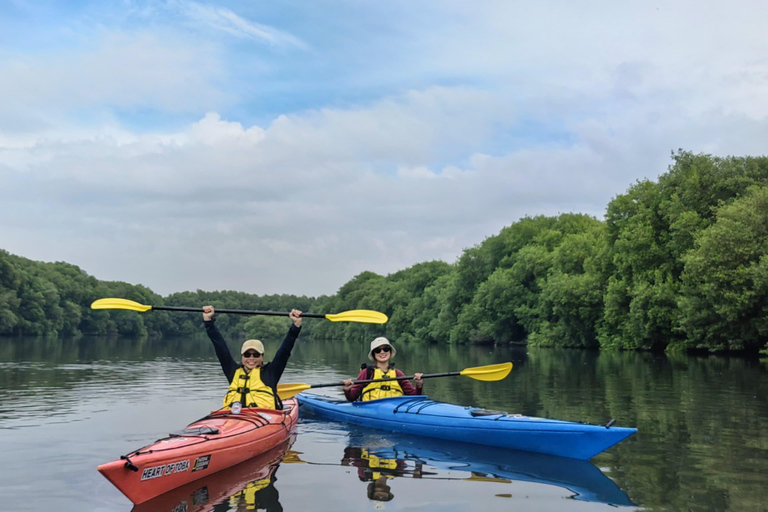 Experiência de canoagem nos mangais de Jacarta