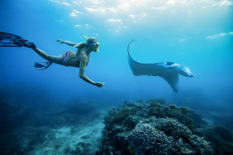 Von Bali aus: Schwimmen mit Manta-Rochen in Nusa Penida