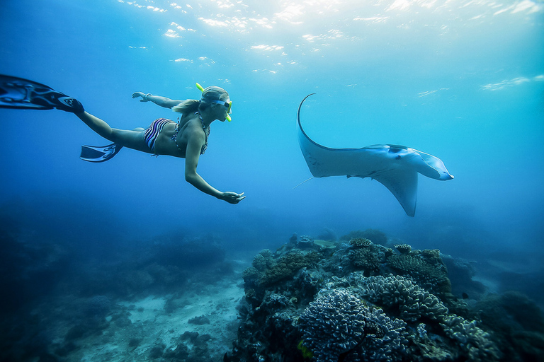 Ab Bali: Schwimmen mit Mantarochen auf Nusa Penida