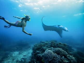 Vanuit Bali: Zwemmen met Manta's in Nusa Penida