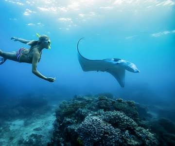 From Bali: Swim with Manta Rays in Nusa Penida