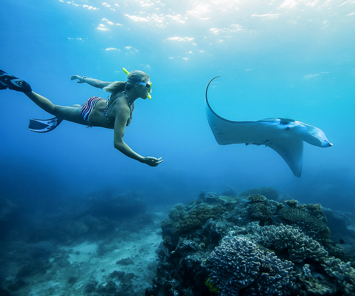 From Bali: Swim with Manta Rays in Nusa Penida