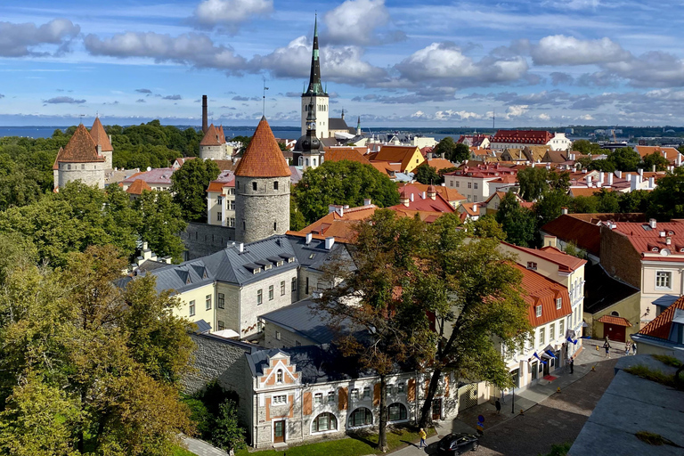 Signature Tallinn Heritage Tour for Cruisers