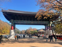 Seorak Mountain, East DMZ, Sokcho City Private Tour - Housity