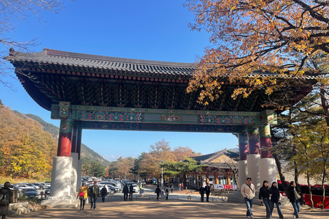 Seoul: Seorak Mountain, Oost DMZ en Sokcho TourSeorak Mt, Oost DMZ, Sockcho Stad Privétour