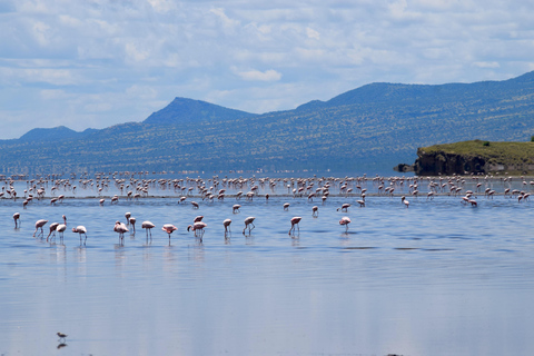 Arusha: Lake Natron Day Trip (Lake Walk &amp; Waterfall Hike)
