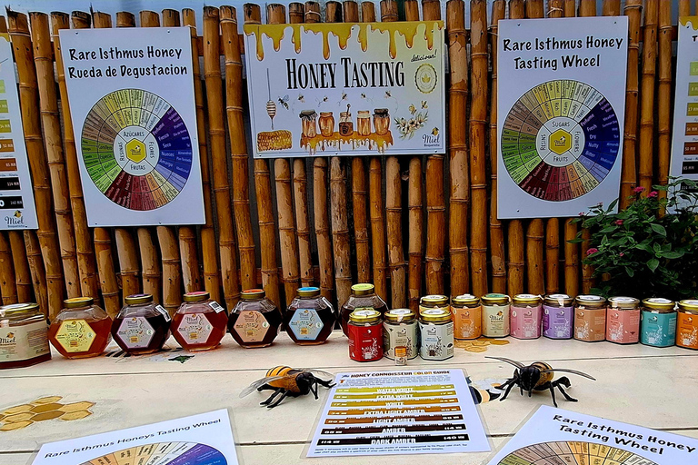 Boquete's Original Honey Tasting: 20+ Wild & Native Honeys