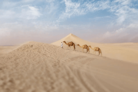 Doha: Familjesafari i öknen med kamelridning och sanddyner