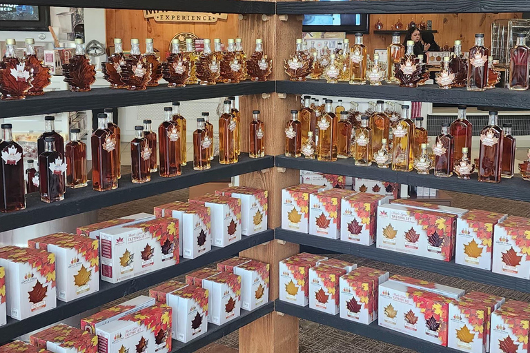 Toronto: Niagara Falls & Niagara-on-the-Lake Luxury Day Tour Toronto: Niagara Falls Day Tour with Hornblower Boat Cruise!