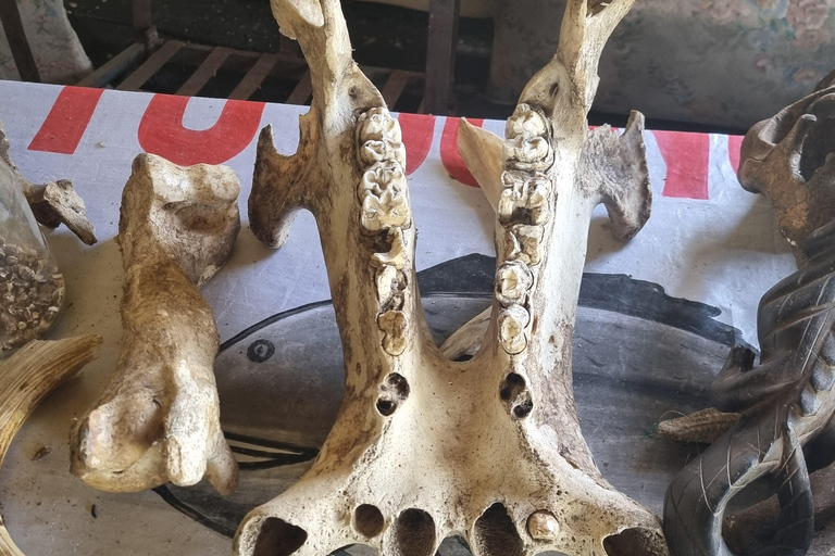 Downtown Nairobi walking tour and Maasai souvenir shopping