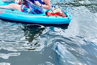 Cocoa Beach, Dolphin and Mottee Kayak ou Paddle Tour - Housity